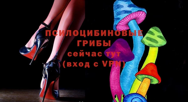 дурь Алексин