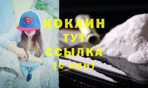 прущий лед Алзамай