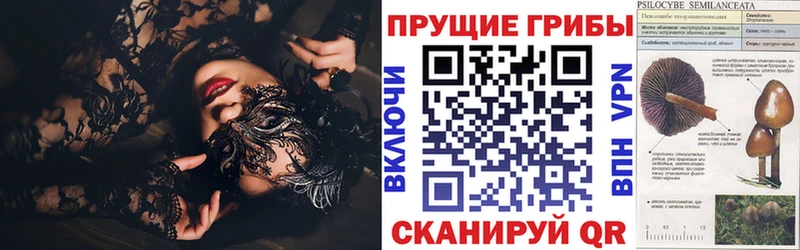 Псилоцибиновые грибы Psilocybine cubensis  маркетплейс формула  Анива  KRAKEN маркетплейс 